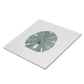 Antike Meersand-Dollar-Illustration Fliese (Seite)