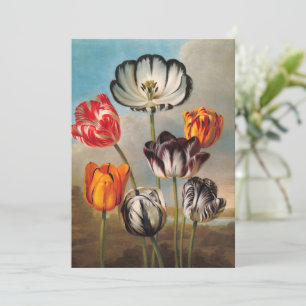 Antike mehrfarbige Tulpenblumen in einer Landschaf
