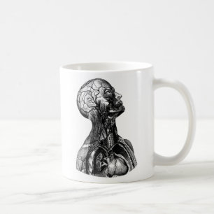 Antike menschliche obere Torso Anatomie Zeichnung Kaffeetasse