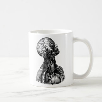 Antike menschliche obere Torso Anatomie Zeichnung Kaffeetasse