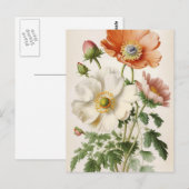 Antike Mohnblumen Postkarte (Vorne/Hinten)
