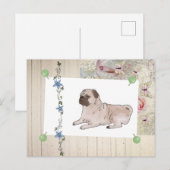 antike Mops Postkarte (Vorne/Hinten)