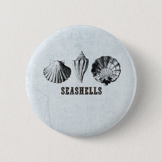 Antike Muscheln Button (Vorderseite)