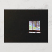Antike Narzissen-Fenster-Postkarte