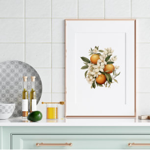 Antike Orangenblütenküche Poster