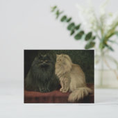 Antike Perserkatze Postkarte (Stehend Vorderseite)