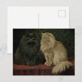 Antike Perserkatze Postkarte (Vorne/Hinten)