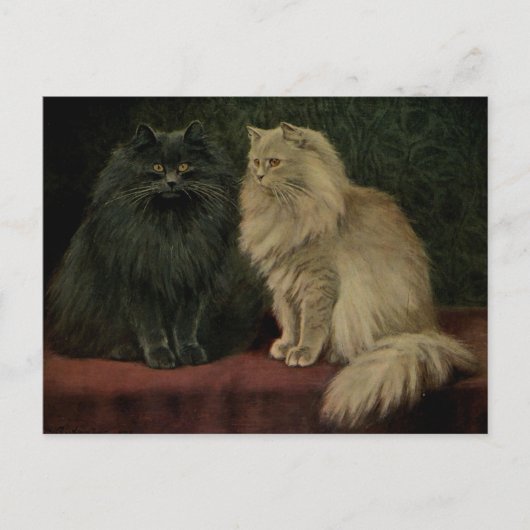 Antike Perserkatze Postkarte (Vorderseite)