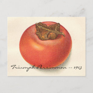 Antike Persimmon-Postkarte Postkarte