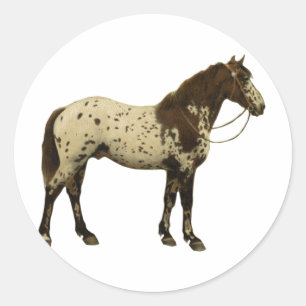 Antike Pferde - Appaloosa Runder Aufkleber
