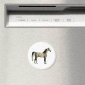 Antike Pferde - Araber Magnet (In Situ (Geschirrspüler))