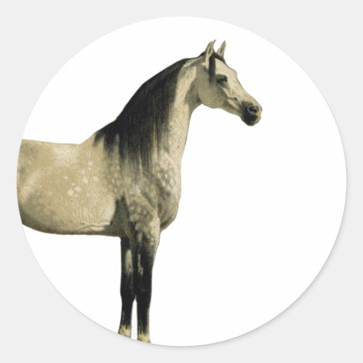 Antike Pferde - Araber Runder Aufkleber (Vorderseite)