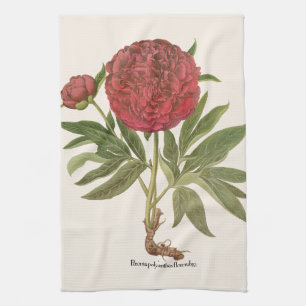 Antike Pfingstrosen, Pfingstrosen-Blumen von Basil Geschirrtuch