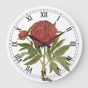 Antike Pfingstrosen, Pfingstrosen-Blumen von Basil Große Wanduhr