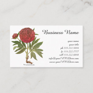 Antike Pfingstrosen, Pfingstrosen-Blumen von Basil Visitenkarte