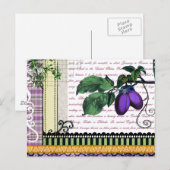 Antike Pflaumen Fruchtcollage Postkarte (Vorne/Hinten)