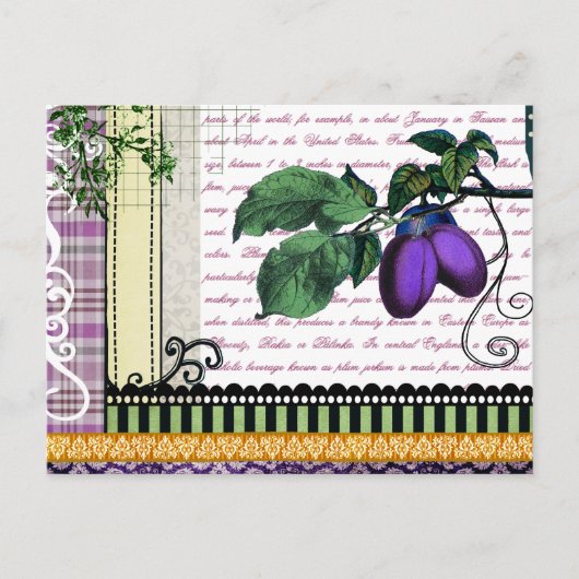 Antike Pflaumen Fruchtcollage Postkarte (Vorderseite)