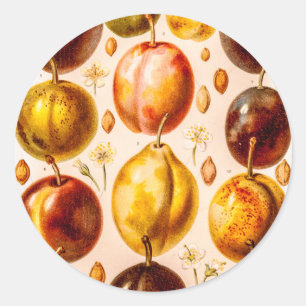 Antike Pflaumen Illustration alte Pflaume Obst Ill Runder Aufkleber