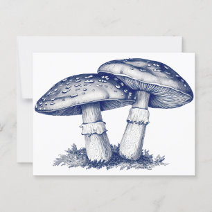 Antike Pilzzeichnung Postkarte