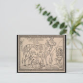 Antike Postkarte, Hindu-göttliche Kuh-Diagramm Postkarte (Stehend Vorderseite)