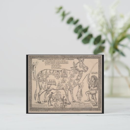 Antike Postkarte, Hindu-göttliche Kuh-Diagramm Postkarte (Stehend Vorderseite)