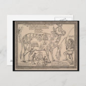 Antike Postkarte, Hindu-göttliche Kuh-Diagramm Postkarte (Vorne/Hinten)
