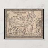 Antike Postkarte, Hindu-göttliche Kuh-Diagramm Postkarte (Vorderseite)