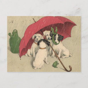 Antike Postkarte mit 4 Hunden unter einem Regensch