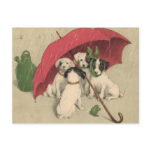 Antike Postkarte mit 4 Hunden unter einem Regensch