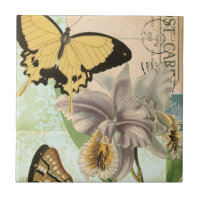 Antike Postkarte mit Schmetterlingen und Blumen