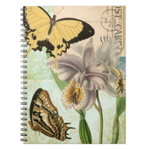 Antike Postkarte mit Schmetterlingen und Blumen Notizblock