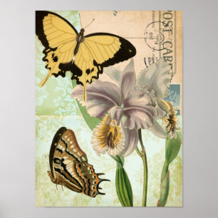 Antike Postkarte mit Schmetterlingen und Blumen Poster