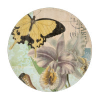 Antike Postkarte mit Schmetterlingen und Blumen