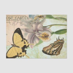 Antike Postkarte mit Schmetterlingen und Blumen Seidenpapier