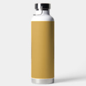 Antike Retro-Kaffee-Espressomaschine Isolierte Wa Trinkflasche (Rechts)