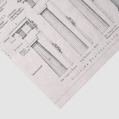 Antike römische Kolumnen Architektur Zeichnend Seidenpapier (Detail)
