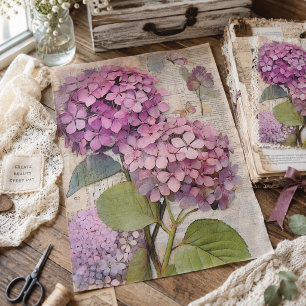 Antike rosa Hortensien-Ephemere-Script-Decoupage Seidenpapier