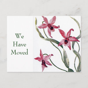 Antike rosa Orchidee Umzugs Postkarte