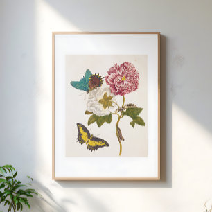 Antike rosa Pfingstrose, florale Illustration Poster