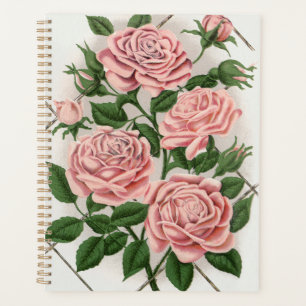 Antike rosa Rose Botanische Cottagecore Kunst Planer