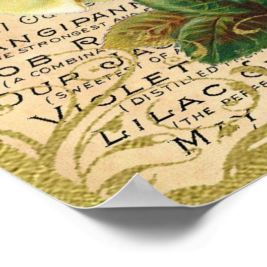 Antike Rose Parfüm Schmetterlinge Poster (Ecke)