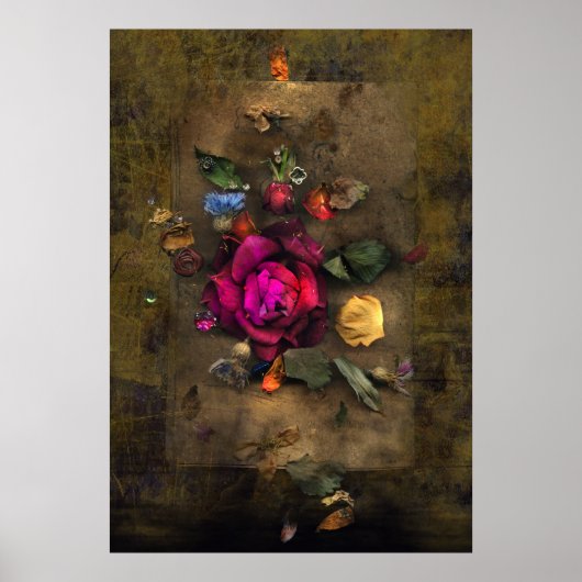 Antike Rose Poster (Vorne)