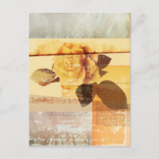 Antike Rose Postkarte (Vorderseite)