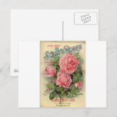 Antike Rose Postkarte (Vorne/Hinten)