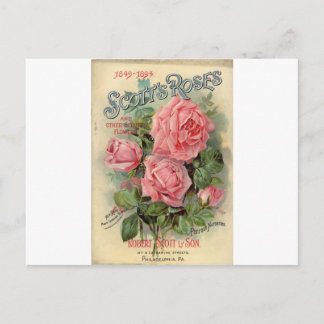 Antike Rose Postkarte