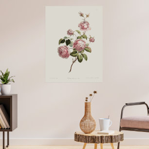 Antike Rosen aus dem 18. Jahrhundert Poster