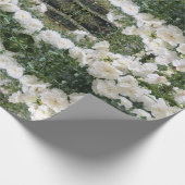 Antike Rosen Geschenkpapier (Ecke)