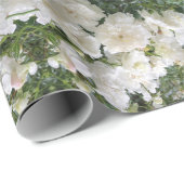 Antike Rosen Geschenkpapier (Rolleneckpunkt)