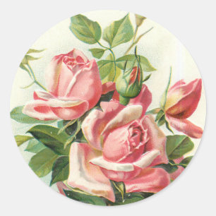 antike Rosen in rosa Aufklebern Runder Aufkleber