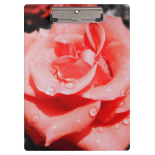 Antike Rosen Klemmbrett